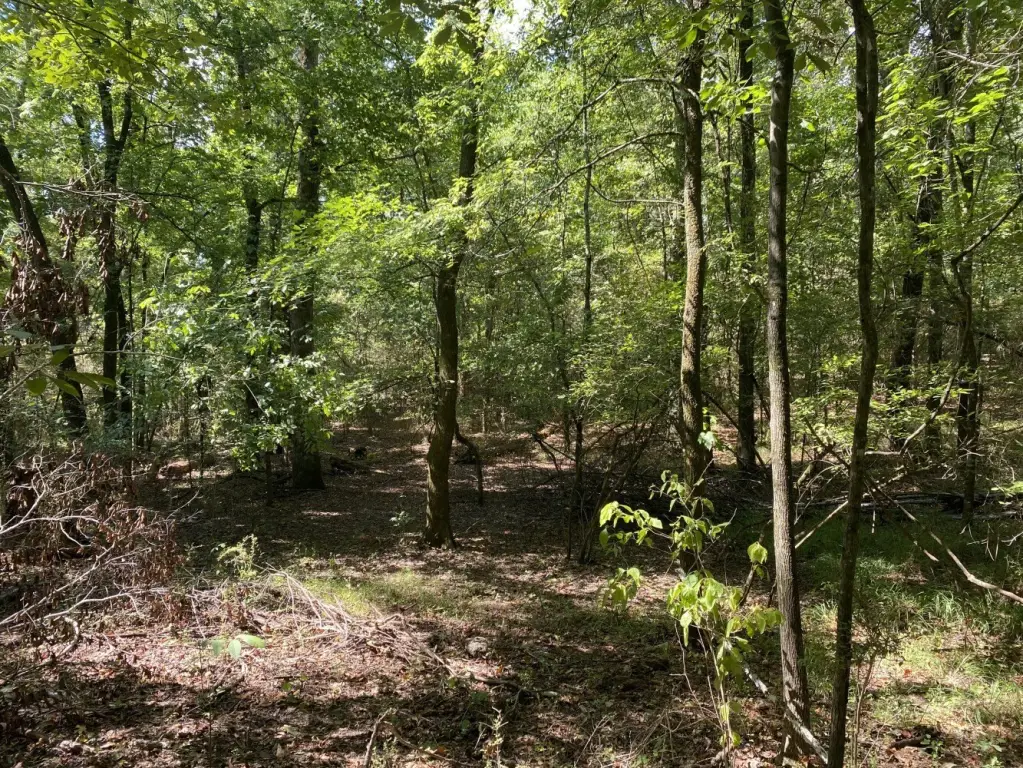 Picture 16