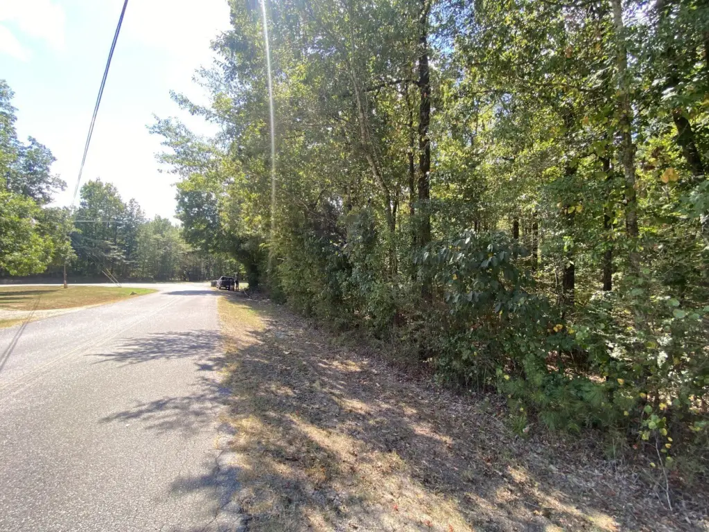 Picture 28