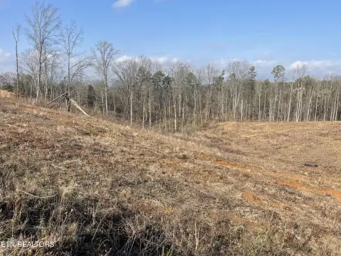 Strawberry Plains Land For Sale
