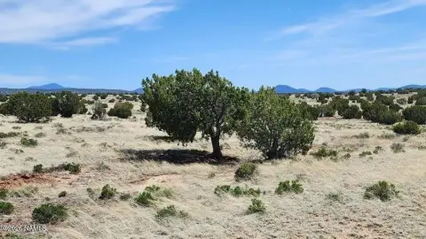 Williams, AZ Land Parcel