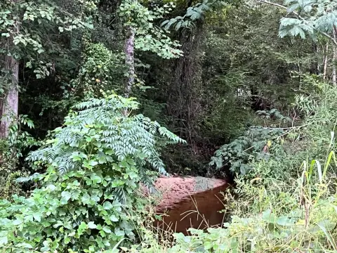 20 Acres Vacant Land