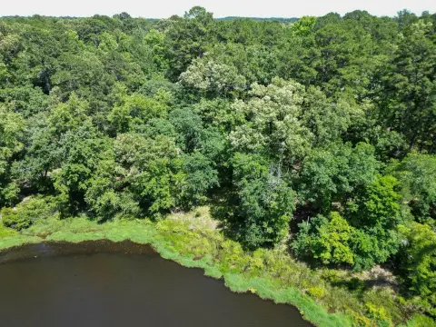 Lakefront Land in Avinger, Texas
