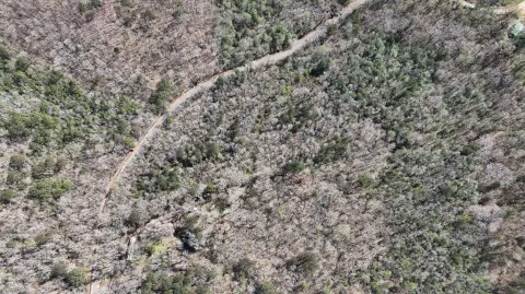 Hamilton, MS Land For Sale