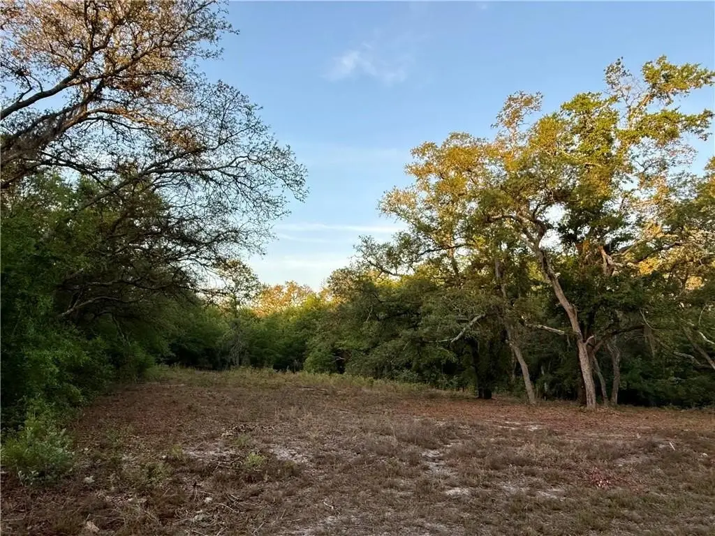 Picture 8
