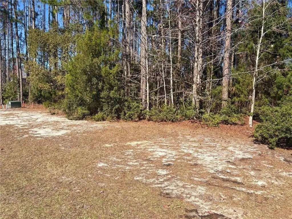 Picture 3