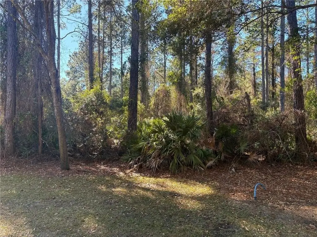 Picture 3