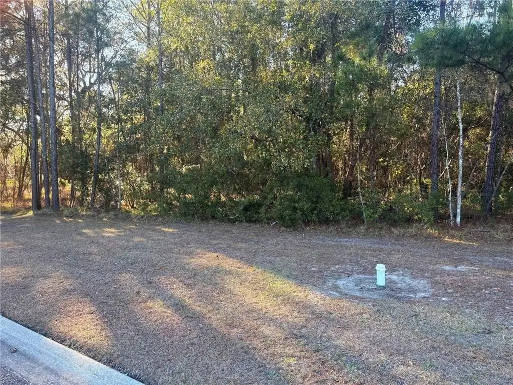 Picture 2