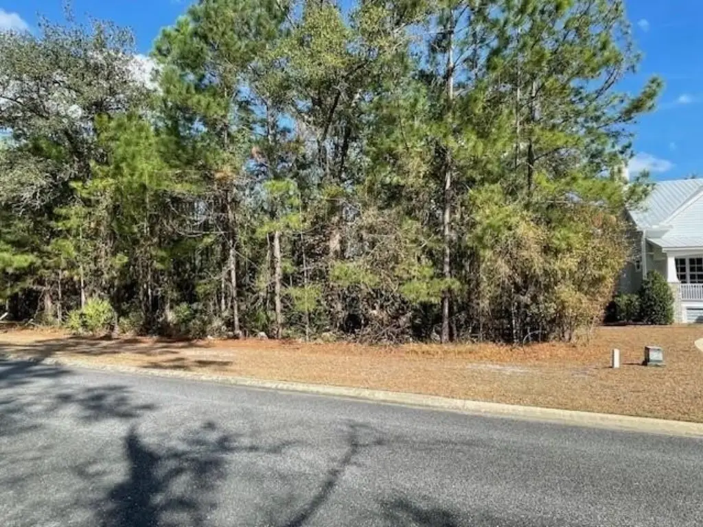 Picture 2