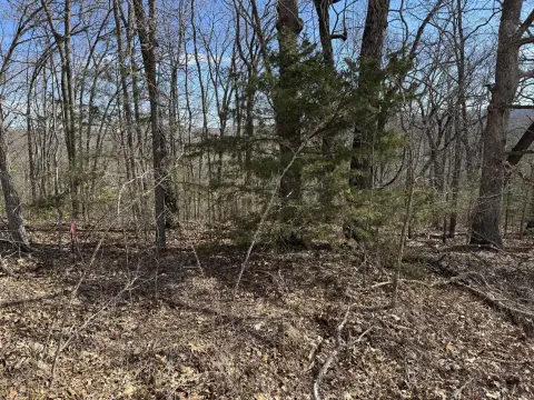 10 Acres of Missouri Woodlands