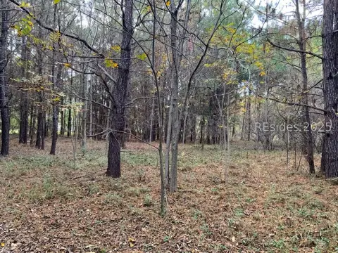Saint Helena Island Wooded Lot