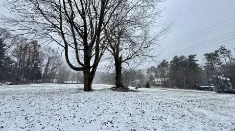Blue Star Highway Frontage Land