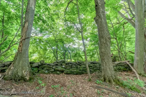 Wooded Land in New Lebanon