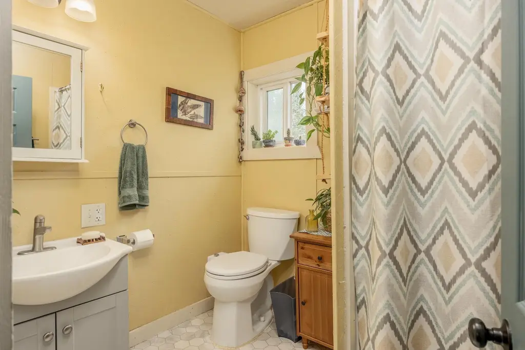 Picture 8