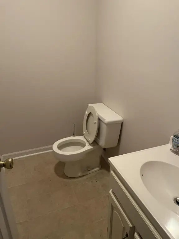 Picture 11