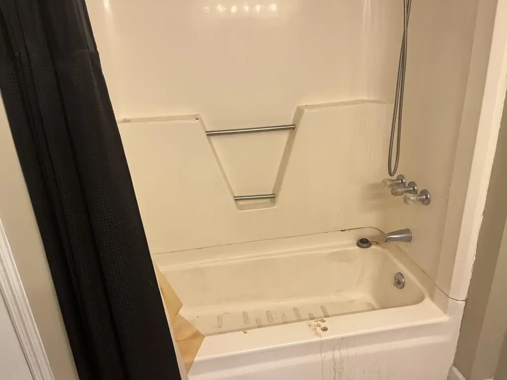 Picture 21