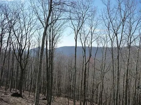 Big Canoe Mountain View Lot