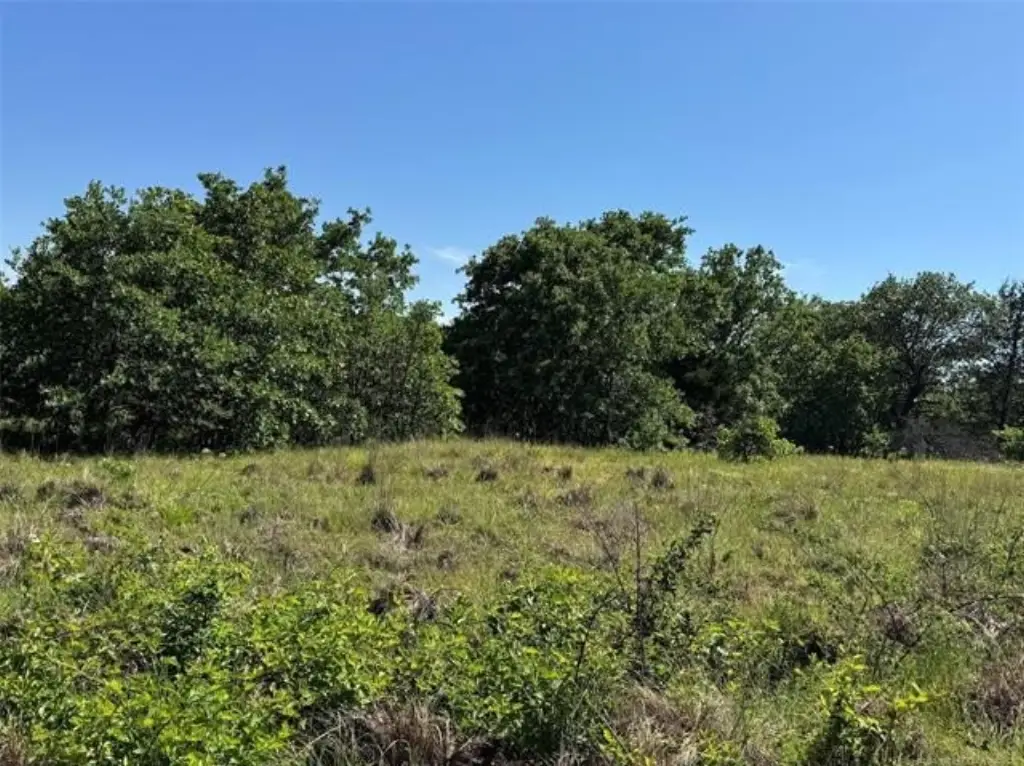 Picture 27