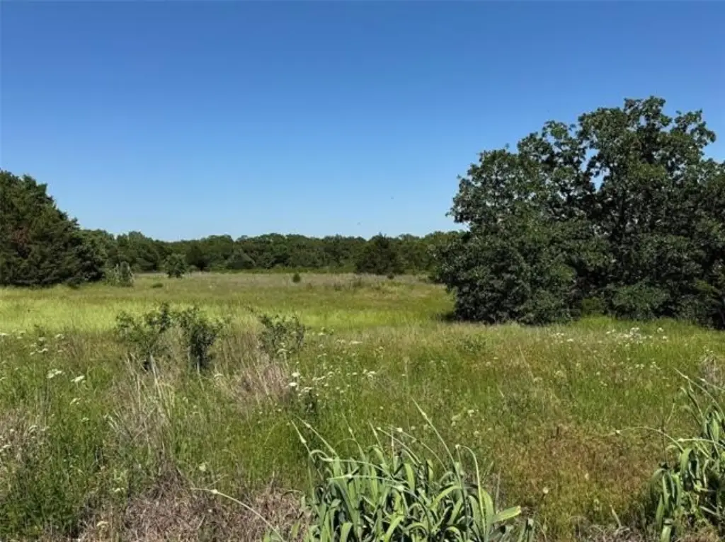 Picture 25