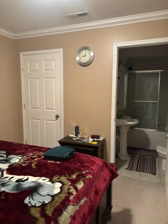 Picture 23
