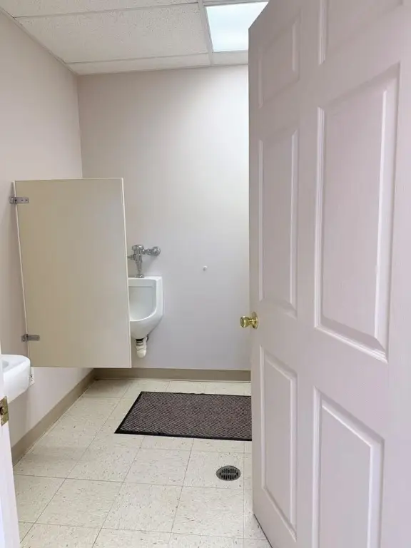 Picture 46
