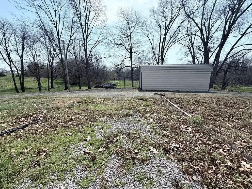 Picture 50