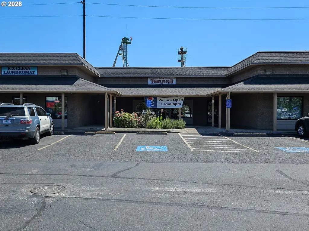 Picture 6
