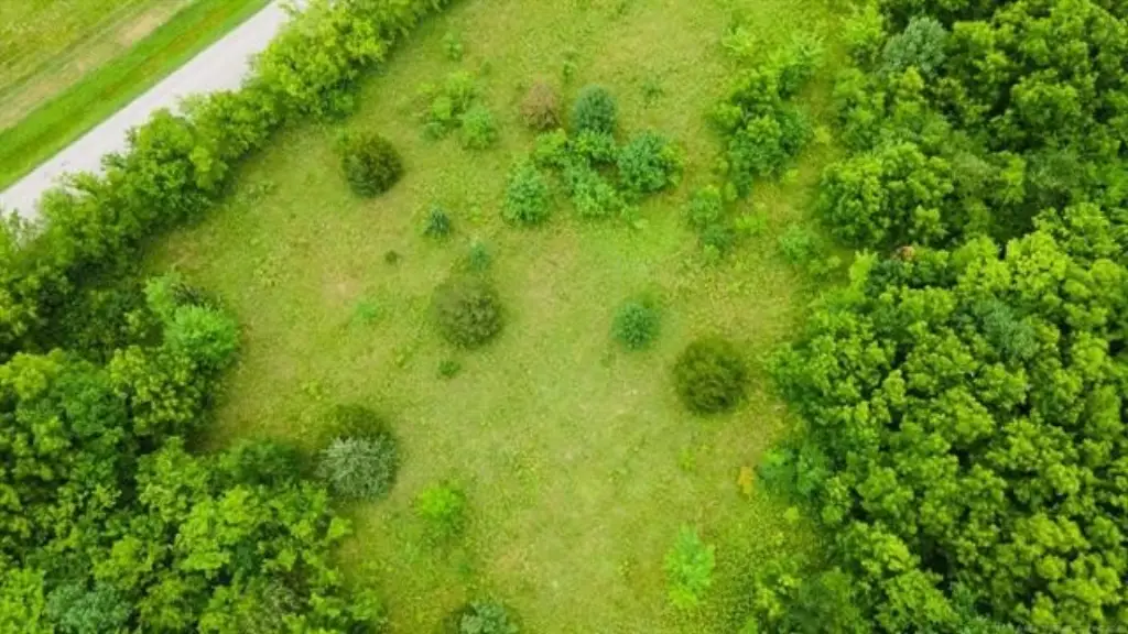 Picture 10