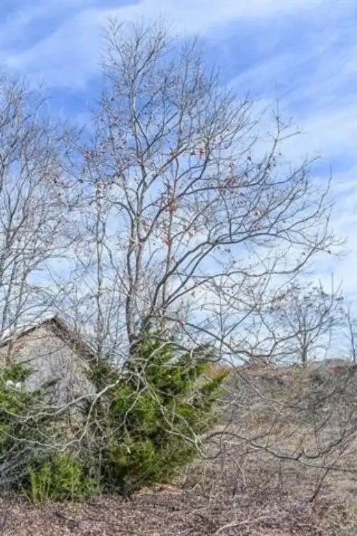 Picture 12