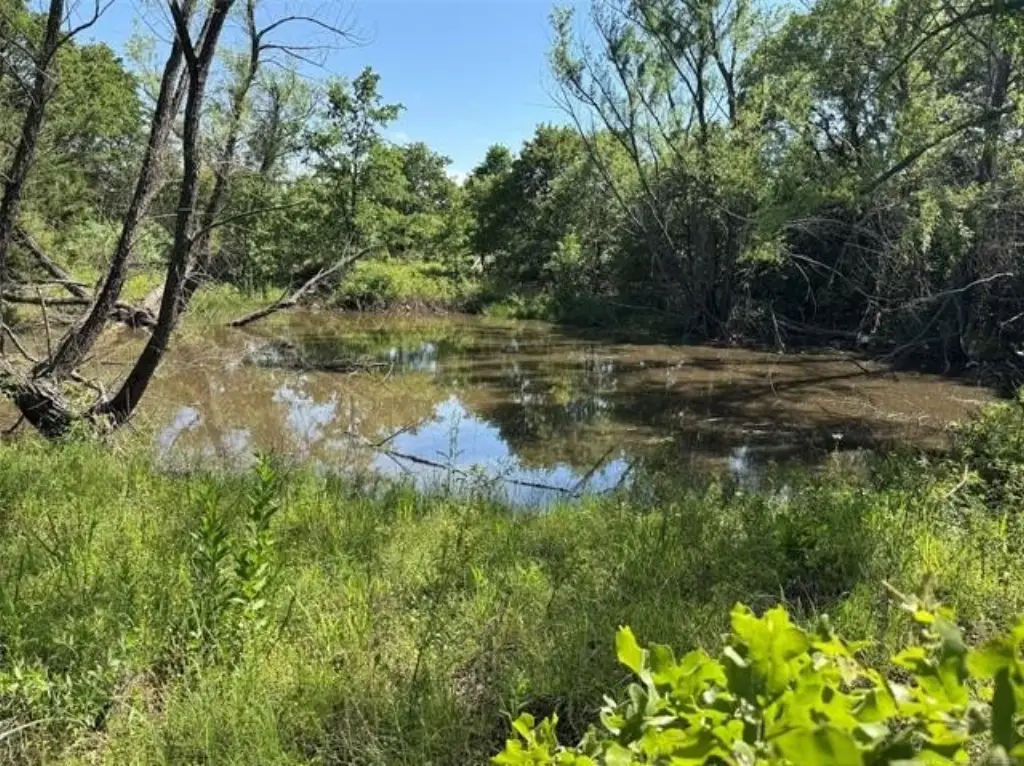 Picture 23