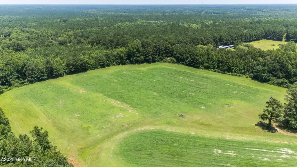 Picture 59