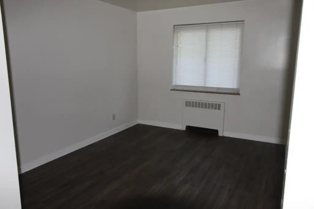 Picture 6