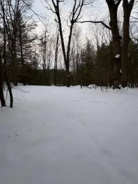 Wooded Lot Near Lake Michigan