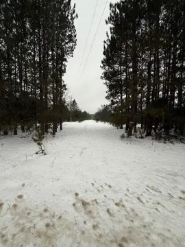 Land Near Crystal Mountain Resort
