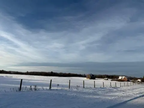 Versatile 80-Acre Mecosta Land