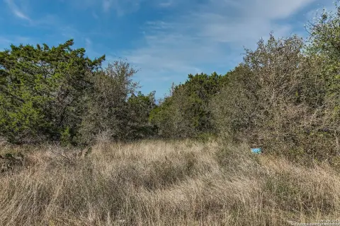 Secluded Wooded Land in Mico, TX