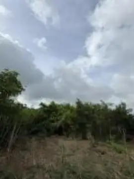 Ridge-Top Residential and Agricultural Land