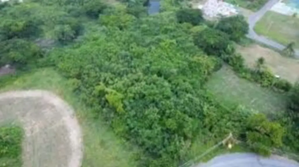Picture 16