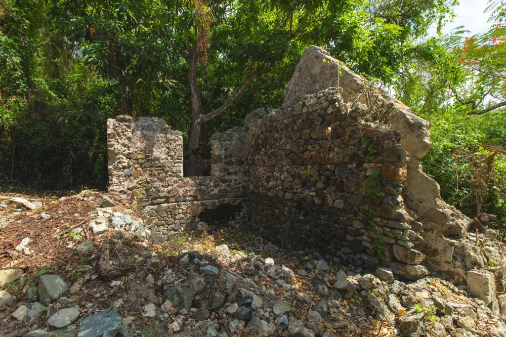 Picture 53