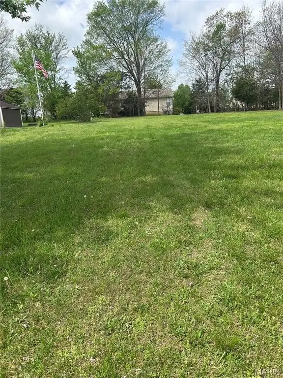 Picture 3