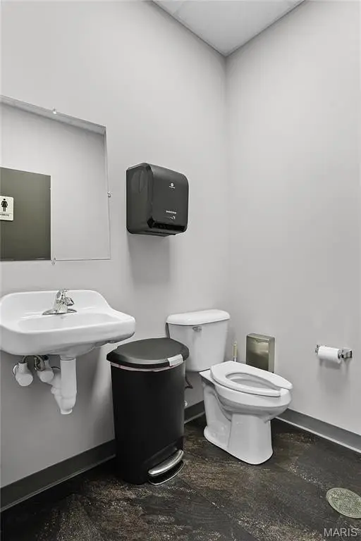 Picture 7