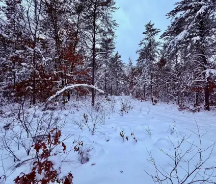 Land for Outdoor Enthusiasts