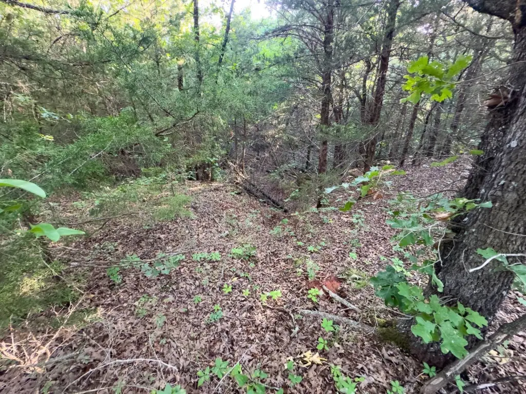 Picture 41