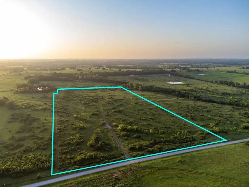 Picture 44