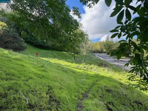 Napa Valley Land Opportunity