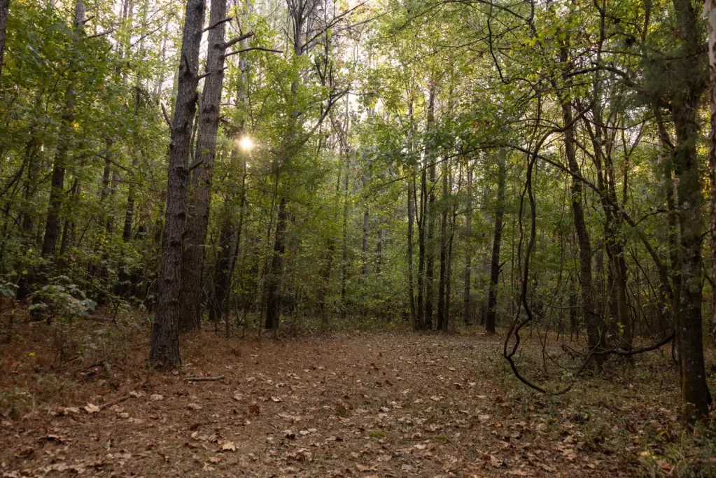 Picture 24