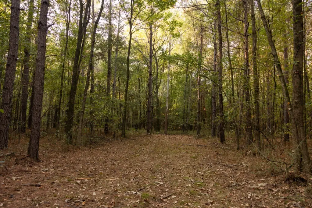 Picture 23