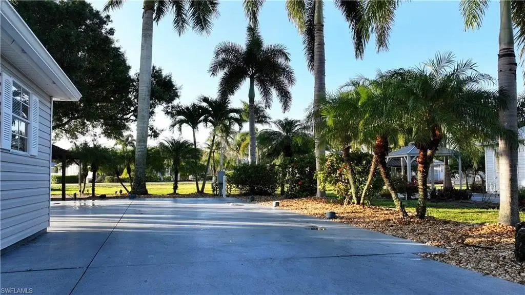 Picture 8