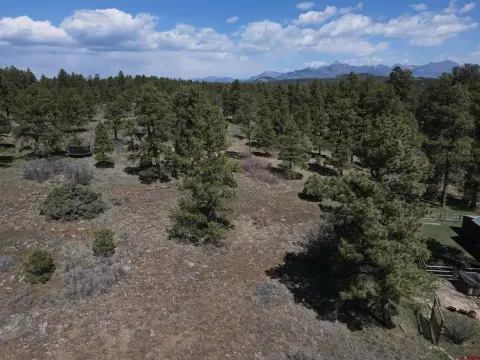 Residential Lot Backing National Forest