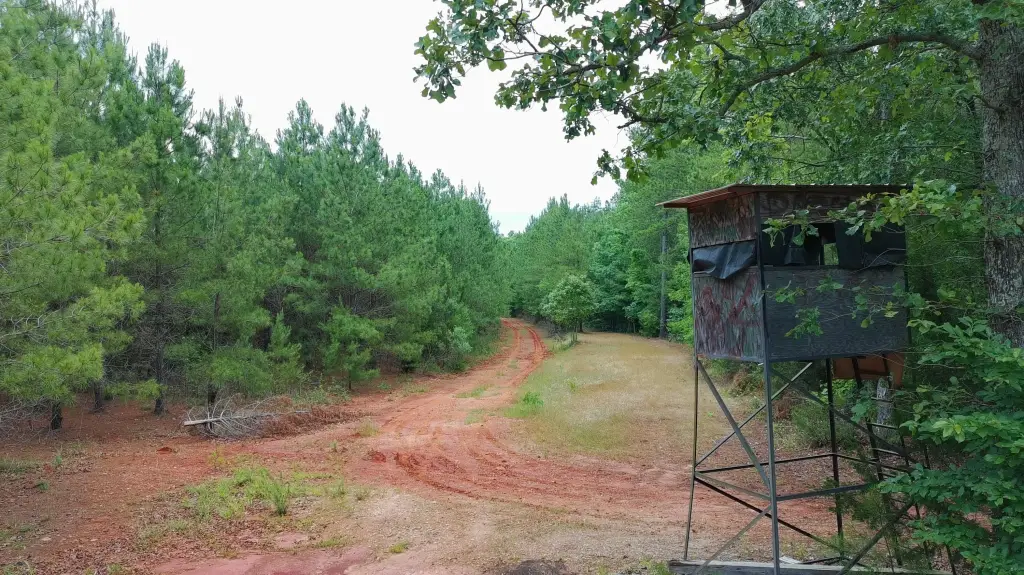Picture 16