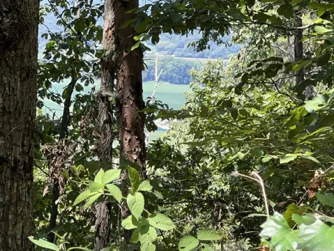 Collinsville Vacant Land For Sale